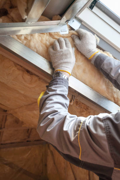 Best Cellulose Insulation in Parker, SC