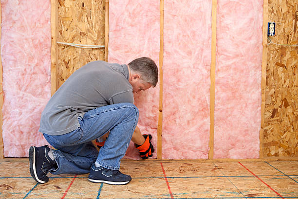 Best Insulation Maintenance and Repair in Parker, SC