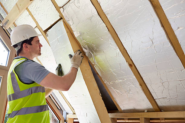 Best Commercial Insulation in Parker, SC